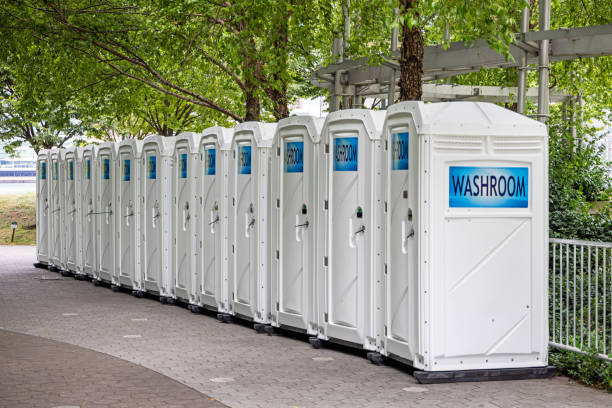 Best Affordable portable toilet rental  in Wolf Lake, MI